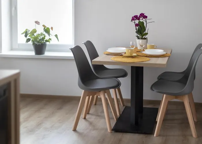 Apartment Centrum B Kudowa Zdroj